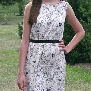 Ann Taylor Loft Dress Size XS